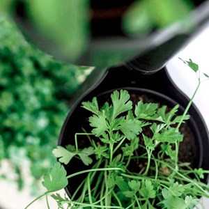 Jardinière verticale smart, 3 pots noir