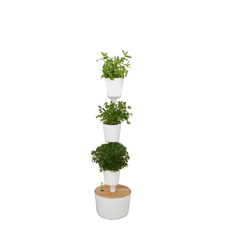Citysens - Jardinière verticale à graines, 3 blanc