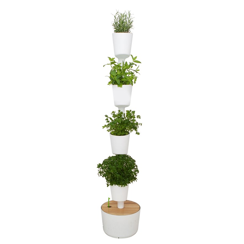 Citysens - Jardinière verticale blanche à 4 pots, arrosage automatique et graines incluses