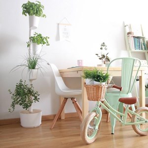 Jardinière verticale blanche à 4 pots, arrosage automatique et graines incluses