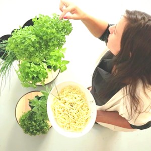 Jardinière verticale à graines, 4 noir