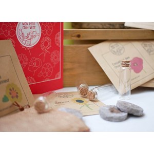 Kit jardinage - mon jardin fleuri : souci, bleuet, coquelicot, œillet, tournesol
