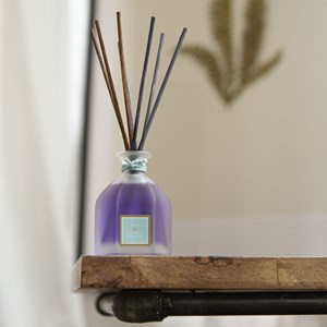 Bouquet parfumé figue & aloe vera