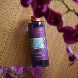 Recharge bouquet figue & aloe vera