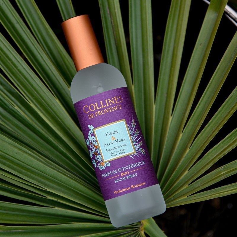 Parfum d'intérieur figue & aloe vera