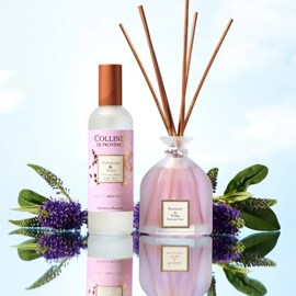 Parfum d'intérieur patchouli & tonka