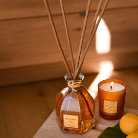 Bouquet mandarine & yuzu grand format