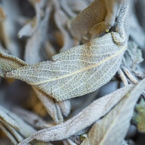 Sauge bio feuille 25g
