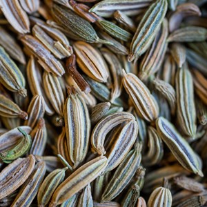 Fenouil bio semence 50g