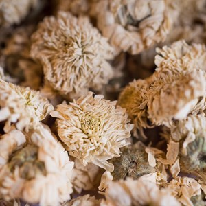 Camomille romaine bio fleur 20g