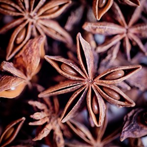 Badiane bio fruit 40g