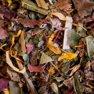 Tisane circulation bio 50g