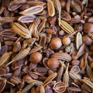 Tisane ventre plat bio 100g