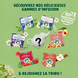 Théière elephant mystère + 120 sachets