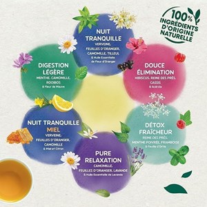 Théière elephant mystère + 120 sachets