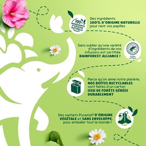 Théière elephant mystère + 120 sachets