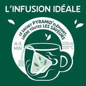 Théière elephant mystère + 120 sachets