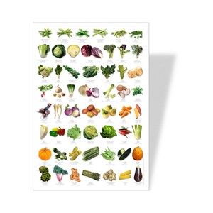 Poster nature légumes