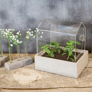 Vases en tube à essai socle en béton