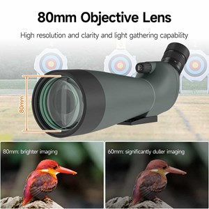 Longue vue 20 60x80 svbony