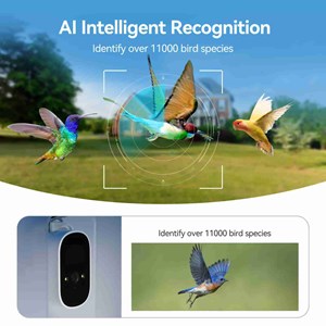 Mangeoire caméra oiseaux hd svbony