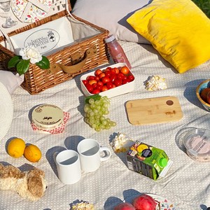 Nappe pique-nique à pois blancs