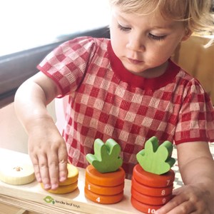 Jeu de comptage carottes