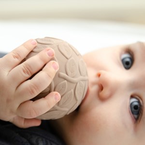 Lot de 2 balles sensorielles earth