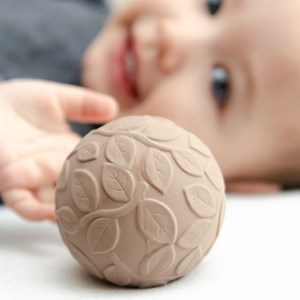 Lot de 2 balles sensorielles earth