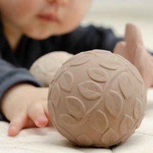 Lot de 2 balles sensorielles earth