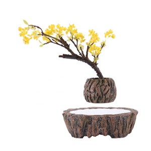 Mini-jardin en lévitation rockgarden