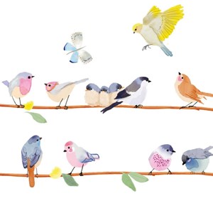 Frise adhésive sticker branche d'oiseaux (2,1 m)