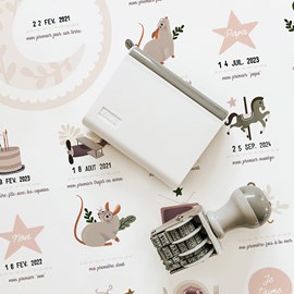 Affiche mes premières fois souris