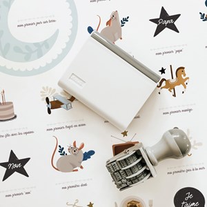 Affiche mes premières fois souris