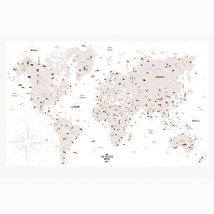 Affiche carte du monde (61 x 91 cm)