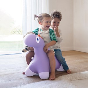 Ballon sauteur hoppi