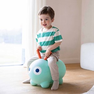 Ballon sauteur skippi