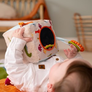 Cube d'éveil les amis dinos