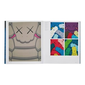 Livre kaws