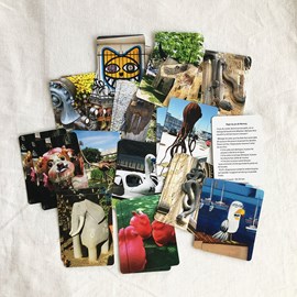 Memory photographique - animaux