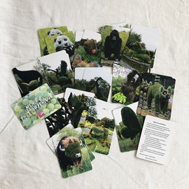 Memory photographique - animaux mosaïcul