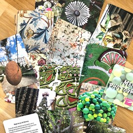 Memory photographique - jardins