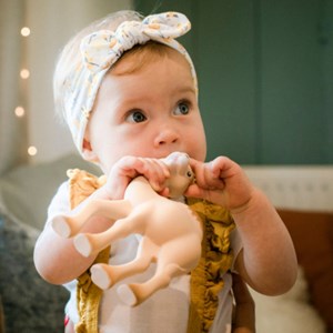 Jouet de dentition dromadaire