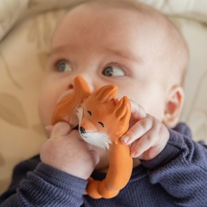 Anneau de dentition renard