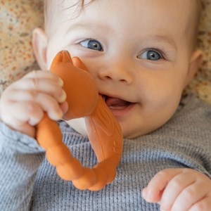 Anneau de dentition renard