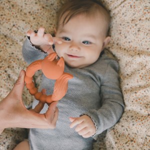 Anneau de dentition renard