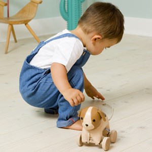 Jouet ã  tirer chien