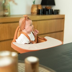 Coussin pour chaise haute