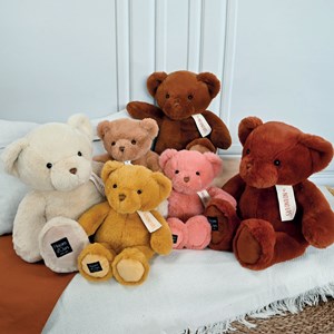 Peluche le nounours