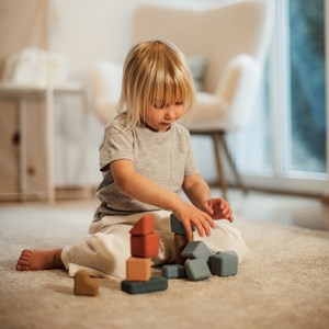 Blocs de construction en liège